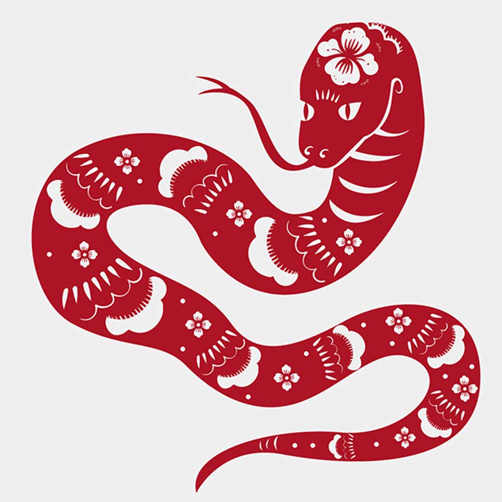 Chinese-Zodiac-profile-snake